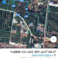 Hơn 5500M2 Sẵn 3002 Thổ Cư, Mặt Tiền Bê Tông Lớn 67M. Shr. Giá Cực Tốt 1Ty5. Lh Ngay: 0335458537