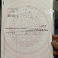 Hàng F0 Cơ Hội Đầu Tư Giá Thấp