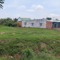 Bán Đất Dân Cư Cho Chuyển Thổ 1000M2Mặt Tiềnba Chả Bình Chánh