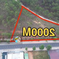 55M Mặt Tiền Huỳnh Tấn Phát Phường 11 Thành Phố Đà Lạt 2000M2 10Tỷ