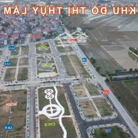 Chính Chủ Gửi Bán Lô Đất Đấu Giá Thụy Lâm Giá Chỉ 6X Tr/M2, Liên Hệ: 0334412345