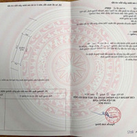 Chính Chủ Gửi Bán Lô Đất Đấu Giá Thụy Lâm Giá Chỉ 6X Tr/M2, Liên Hệ: 0334412345