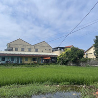 Hơn 2 Tỷ Có Ngay Lô Đất View Lúa Cẩm Châu Tuyệt Đẹp, Không Còn Miếng Thứ 2, Đường 3,5M Rộng, Thông.
