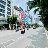 Bán Nhà Ngõ 19 Liễu Giai : 63M2 4 Tầng -Mặt Tiền4M - Oto Chạy Vòng Quanh - Phân Lô Vip