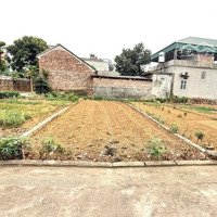 Bán Đất Phân Lô Tại Quốc Oai, Hà Nội