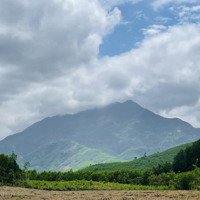 Bán Gấp Lô Góc 4,177M2 , Đất Phong Thuỷ Tốt, View Núi Xanh Ươm, Khu Dân Cư Hiện Hữu, Làm Nhà Vườn