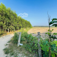 Bán Gấp Lô Góc 4,177M2 , Đất Phong Thuỷ Tốt, View Núi Xanh Ươm, Khu Dân Cư Hiện Hữu, Làm Nhà Vườn
