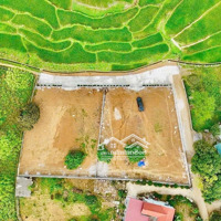 Con Hàng Còn Sót Lại, Giá Quá Đẹp