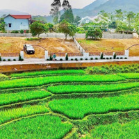 Con Hàng Còn Sót Lại, Giá Quá Đẹp