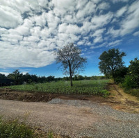 1600M2 Giá Đầu Tư Dân Cư Đông Đường Thông Thoáng Vuông Vắn Tại Xã Xuân Bảo, Cẩm Mỹ, Đồng Nai