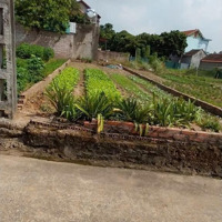 Chính Chủ Cần Bán 73,5M2 Full Thổ Cư Tại Thôn Thắng Trí Minh Trí Sóc Sơn Hà Nội.