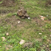 Đất Phân Lô Vuông Vức Siêu Đẹp Đối Diện Ubnd Xã Đồng Sơn