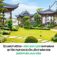 10 Căn Ngoại Giao Vinhomes Vũ Yên Cực Đẹp Căn Góc-Áp Góc -Xẻ Khe - View Vườn Hoa Các Phân Khu