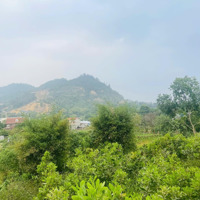 Chính Chủ Gửi Bán Lô Đất Tại Phú Mãn, Quốc Oai, Hà Nội
- Diện Tích: 687M2, 250 Thổ Cư