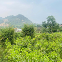 Chính Chủ Gửi Bán Lô Đất Tại Phú Mãn, Quốc Oai, Hà Nội
- Diện Tích: 687M2, 250 Thổ Cư