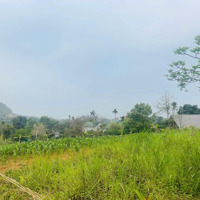 Chính Chủ Gửi Bán Lô Đất Tại Phú Mãn, Quốc Oai, Hà Nội
- Diện Tích: 687M2, 250 Thổ Cư