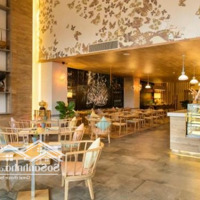 Bán Nhàmặt Tiềnphan Xích Long - Bình Thạnh. Dt: 8,5X22M - 4 Tầng. Hđ Thuê: 120 Triệu/Th. Giá: 38 Tỷ