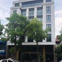 Siêu Phẩm ! Bán Tòa Nhà Mặt Tiền Sư Vạn Hạnh Quận 10 (10X29M) Hầm 7 Tầng Hđt 270 Tr/Th Chỉ 67 Tỷ