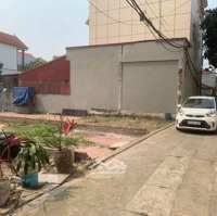 Đất Bán Gấp Tại Mỹ Nội, Bắc Hồng, Đông Anh, Hà Nội, 73.8M2, Giá Thỏa Thuận