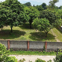 Nhỉnh 3 Triệu/M2 Sở Hữu Ngay 2712M2 400 Thổ Cư Cạnh Sân Golf Sky Lake Tại Lương Sơn Hoà Bình