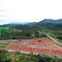 Bán Đất Bảo Lộcdiện Tích211M2 Ngang 10M Full Thổ Cư Ngay Đinh Công Tráng Đối Diện Chợ Tân Bùi Gần Ql20