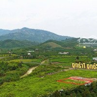 Bán Đất Bảo Lộcdiện Tích211M2 Ngang 10M Full Thổ Cư Ngay Đinh Công Tráng Đối Diện Chợ Tân Bùi Gần Ql20