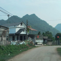 Hàng Hiếm Khó Kiếm Siêu Phẩm Nghỉ Dưỡng S= 400M2 Full Ont Taij Cao Dương,Lương Sơn,Hoà Bình