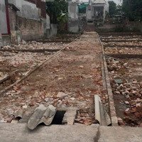 Chính Chủ Gửi Bán Lô Vườn Hoa Chéo Kiến An Hải Phòng . Diện Tích Rộng 48M