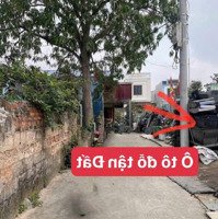 Chính Chủ Cần Bán Lô Đất Gấp Tại Tuyến 2 Đường Trần Minh Bắc Hà Kiến An Hải Phòng