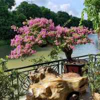 Bán Biệt Thự Hoa Lan Vinhomes Riverside Long Biên .
