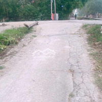 Chính Chủ Cần Bán Gấp Giá Chỉ Nhấp Nhô Tỷ Lo Đấtdiện Tích56,8 M