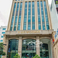 Cần Bán Gấp Tòa Nhà Ngay Sân Baymặt Tiềnbạch Đằng - Dt: 10X32M Hầm 7 Tầng - Hdt: 300 Tr/Th Giá Bán 55 Tỷ Tl