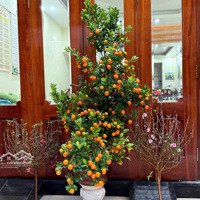 Bán Biệt Thự 4 Phòng Ngủ 3 Vệ Sinh 82.5M2 Tại Văn Khê, Hà Đông, 2X Tỷ