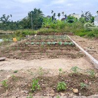 Em Gái Bên Nước Ngoài Gửi Bán Gấp Lô Đất Tại Phường Hoàng Lâm Thủy Nguyên Hải Phòngdiện Tích64M Đường