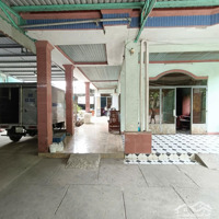 Nhà Đường Trần Thị Lan Lg20M, Ngay Khu Trung Tâm Tân Quy, Xã Tân Thạnh Tây, 31X26M, 768M², 11.5 Tỷ