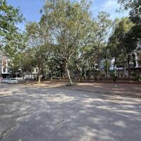 BÁN ĐẤT NHÌN VƯỜN HOA TÔNG ĐẢN RẺ NHẤT P. KINH BẮC, TP BẮC NINH