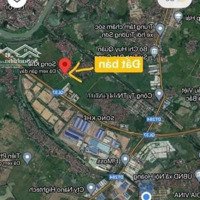 Đấu Giá Yên Khê Song Khê Tpbgdiện Tích100M2. Cạnh Trung Tâm Logistics 4200 Tỷ