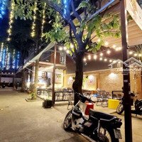 Bán Đất Thổ Cư Lê Văn Khương Quận 12 - 426M2 - Ngang 10,3 M - Đường 8 M - Đang Kinh Doanh Cafe