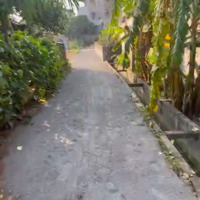 Chính Chủ Bán 65M2 Đất Thổ Cư Tại Thôn Phượng Nghĩa