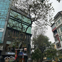 Chủ Bán Gấp Lô Góc Thọ Lão 60M² X 7 Tầng Thang Máy Nhập,Mặt Tiềnkhủng 8.6M, 2 Mặt Thoáng, Pháp Lý Chuẩn