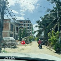 Bán 1000M2 Thổ Cư Mặt Tiền Hoà Bình, Hàm Tiến Cách Biển Chỉ 50M