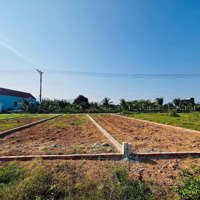 Chỉ 850 Triệu Sở Hữu Ngay Đất Diên Hòa, Cách Tỉnh Lộ 2 300M, Đường Bê Tông 5M, Vị Trí Đẹp Sinh Lời Ngay