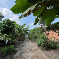 Bán Đất Xuân Thới Sơn 2, 10,5 Tỷ, 492M2, Pháp Lý Đầy Đủ