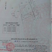 Bán Đất 5X21 =103M Tc Bên Cạnh Trường Nguyễn Thị Nuôi 1Xec 50M Tô Ký Thới Tam Thôn Hóc Môn Tphcm