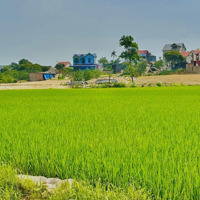 2.500 Mét Đất Lương Đình - Bắc Sơn. Dựa Núi View Hồ Điều Hoà. Xây Nghỉ Dưỡng Chữa Lành Cực Đỉnh.