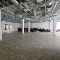 Cho Thuê Nhà Mặt Phố Trung Hòa Nhân Chính Diện Tích 200M2Mặt Tiền12M, Thông Sàn, Trần Cao, Vip Nhất