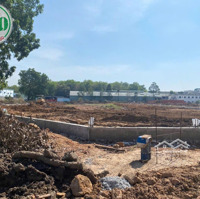 Cho Thuê Nhà Xưởng Đang Xây Dựng Diện Tích 55.000 M2 Ccn Tân Mỹ, Bình Dương