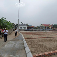 Bán Đất Tại Xã Thái Sơn, An Lão, Hải Phòng, Giá Siêu Hời 515 Triệu, 60M2