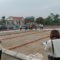 Bán Đất Tại Xã Thái Sơn, An Lão, Hải Phòng, Giá Siêu Hời 515 Triệu, 60M2