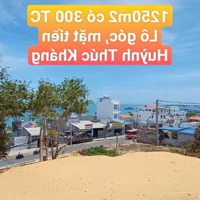 Giá Tốt Bán 1250M2 Có 300 Thổ Cư Lô Góc ,3 Mặt Tiền
Đường Huỳnh Thúc Kháng